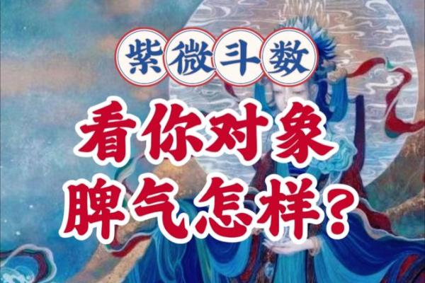 什么紫薇斗数的人适合去大城市发展