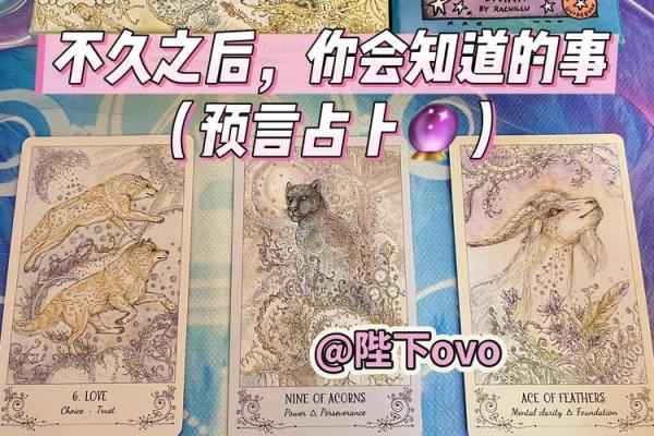 塔罗测试：你在十一月会遇到啥好运？