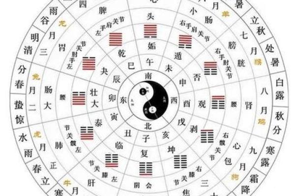 易经八字排盘算命详解