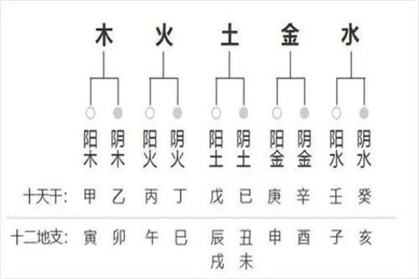 四柱八字怎么算,怎么查自己的四柱八字