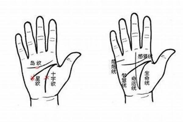 女人断掌手相算命图解