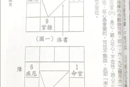 紫薇斗数象义