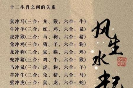 属鼠和属鸡的八字合不合得来,属鸡的跟属鼠的合财吗