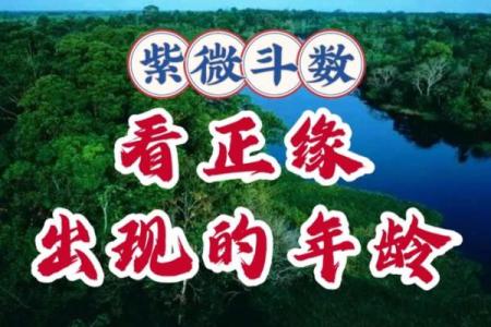 红尘相遇紫薇斗数