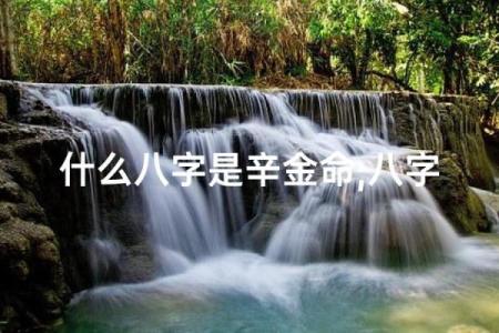 金多的八字