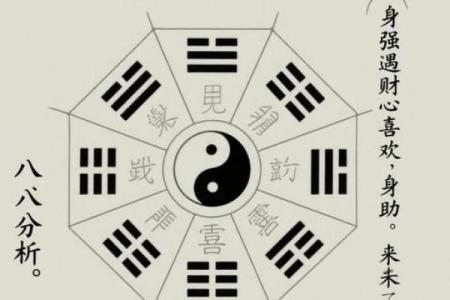 八字身旺财弱走什么运好