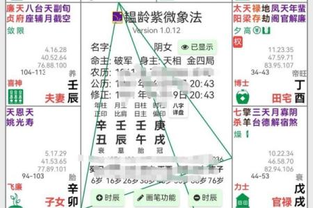 紫薇斗数的格局