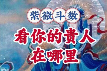 紫薇斗数投资理财高手