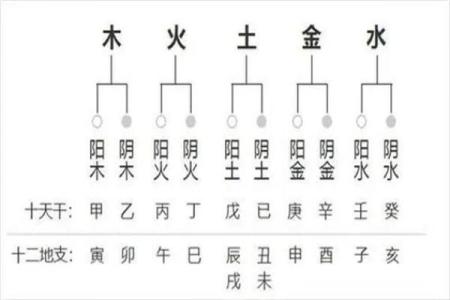 四柱八字怎么算,怎么查自己的四柱八字