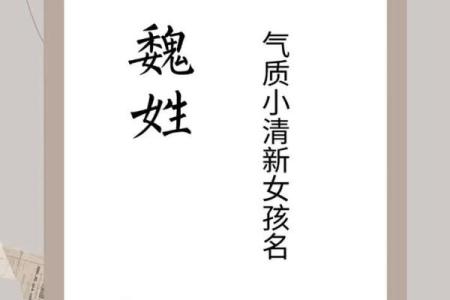 魏姓女孩生辰八字起名字  生辰八字起名免费网站