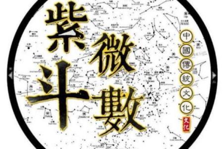 紫微斗数3和8甲己开始 紫微甲级星吉星？