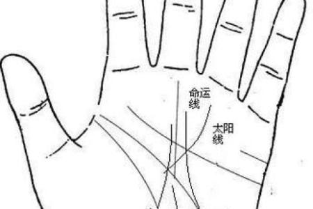 女人断掌手相算命图解