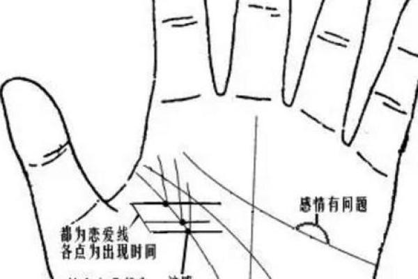 李向东：讲解算命
