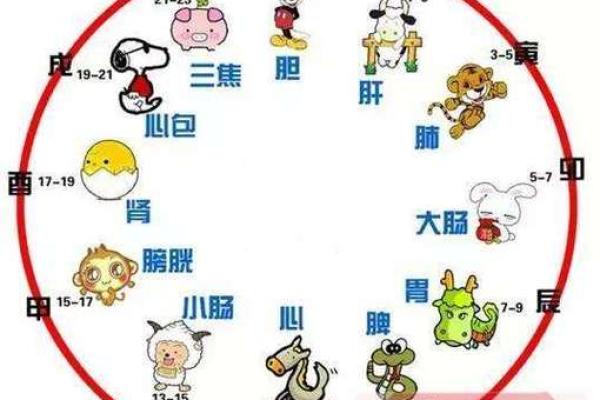 胎记算命方法介绍