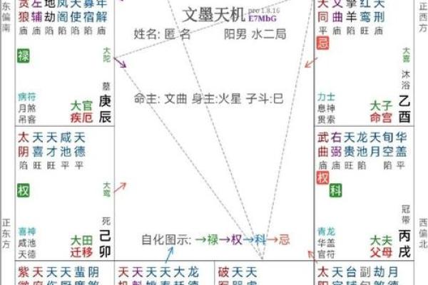 紫薇斗数亨利