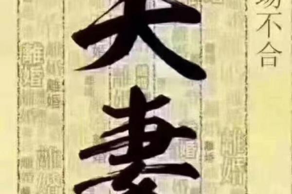 如何看八字合不合