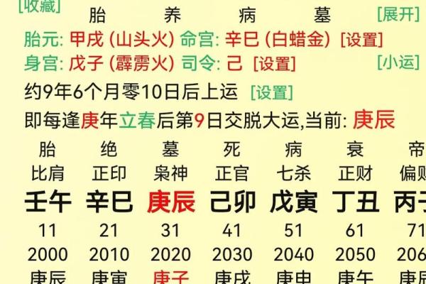 甲辰八字