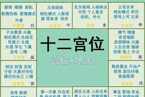 紫微斗数之交友宫与诸星，天府星在交友宫是什么意思？