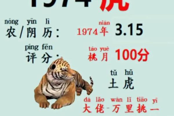 算命下载啥软件看