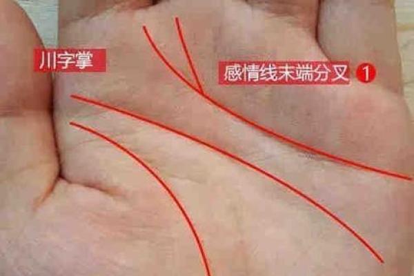 婚姻算命手相