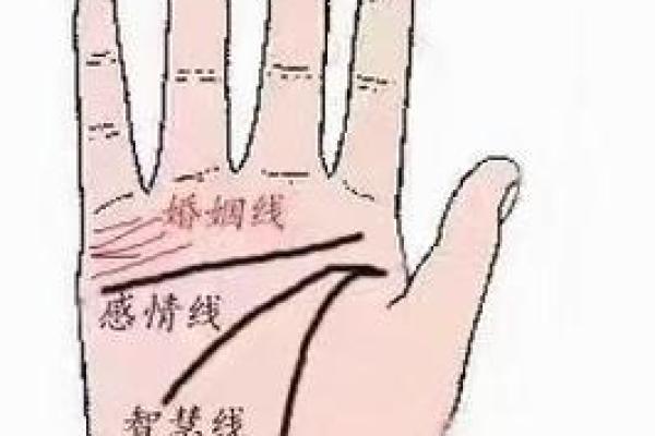 凯帝阿手相算命图解大全07