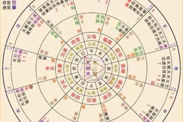 紫薇斗数盘是什么