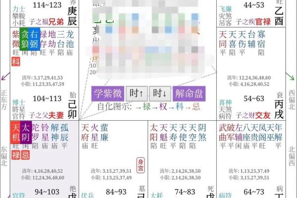 紫薇斗数盘是什么