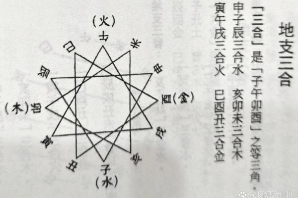 八字地支三会是怎么应用的？