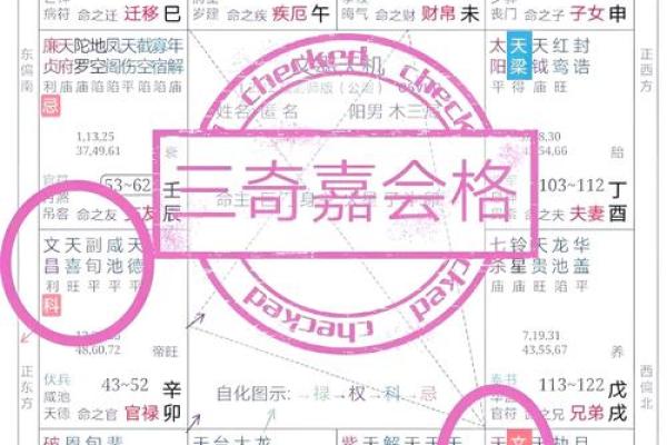 紫微斗数命宫在寅紫薇天府