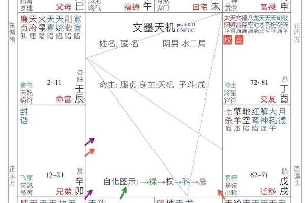 解说紫微斗数 深入解读紫微斗数？
