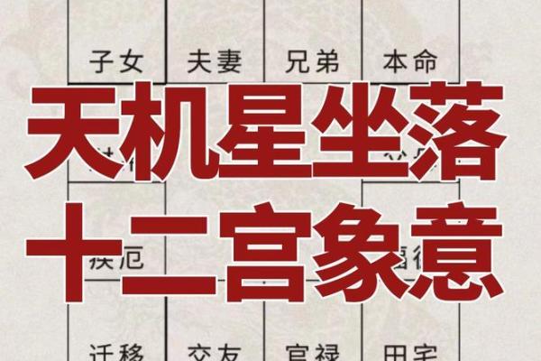天机紫微斗数app 天机紫微斗数app下载？