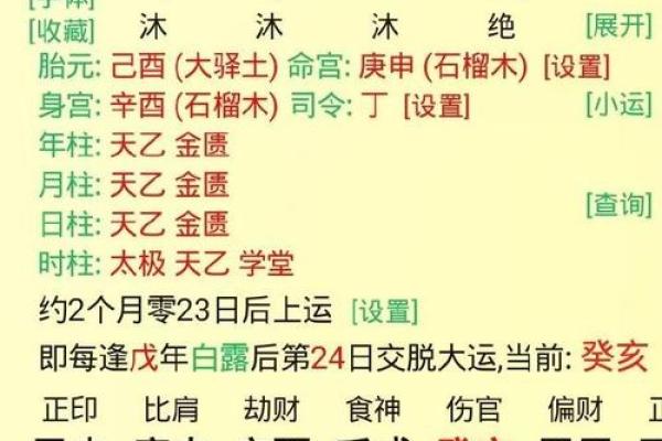 八字排盘怎么看图解