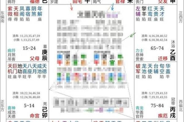 名人紫薇斗数案例