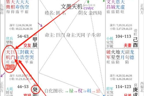 名人紫薇斗数案例