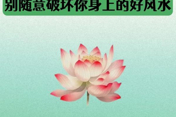 风水辟邪大全，一定要牢牢记住