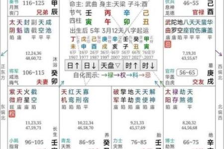 紫薇斗数软件破解