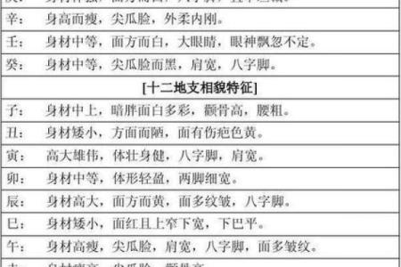 项城哪里八字算命