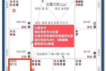 紫微斗数之后天运势－－岁限的分析推断：流月、流日、流时的看法