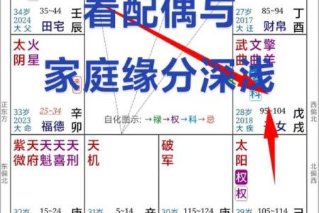 紫薇斗数怎么看生死