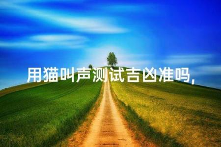 家里可以养新猫吗吉凶测试