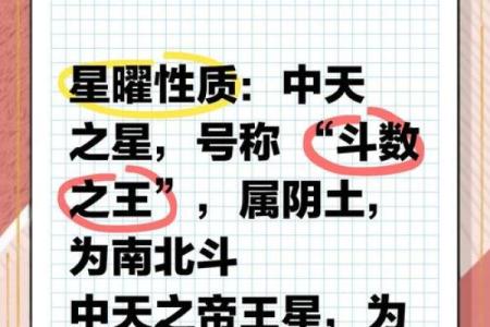 紫微斗数之各星曜所主行业：智商与考试