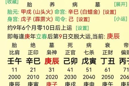 甲辰八字