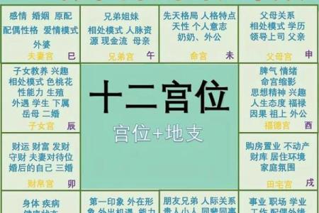 紫微斗数之交友宫与诸星，天府星在交友宫是什么意思？