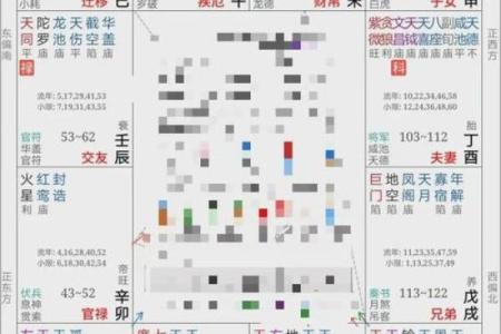 紫薇斗数命运宝典