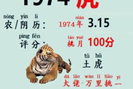 算命下载啥软件看