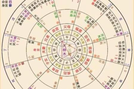 紫薇斗数盘是什么