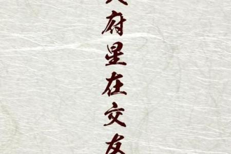 紫微斗数之交友宫与诸星，廉贞星在交友宫是什么意思？