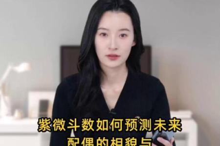 紫薇斗数中看长相