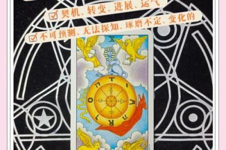塔罗牌测试：你未来是否大富大贵？