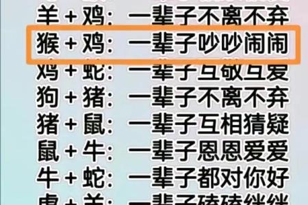 姓名配对测试两人爱情免费 名字配对测试两人爱情免费？